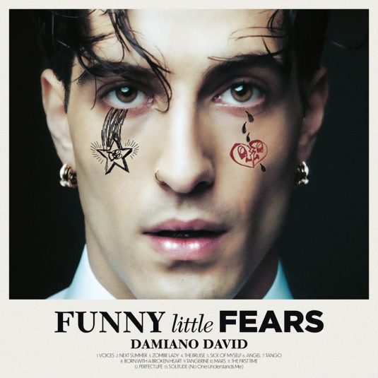 Funny Little Fears - Damiano David (Cover)